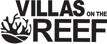 Beach Properties for Rent in Akumal